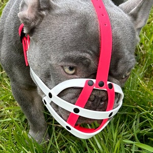 Polymer Dog Muzzle | Training and Behaviour Dog Muzzle | Strong, Waterproof Design | Frenchie or Similar Dogs | Handmade & Durable