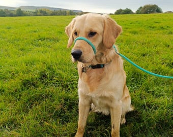 Figure 8 Head Collar 10feet (304cm) Anti Pull Lead One Size Fits All Super Soft Braided Nylon Comfortable Make Your Walks Enjoyable