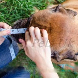 Light leather Dog Muzzle for French Bulldog "Frenchies" image 8