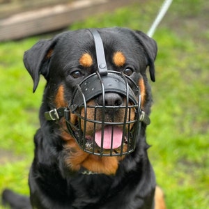 Strong Metal Wire Basket Dog Muzzle for Rottweiler, Mastiff & other