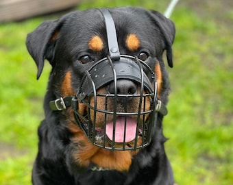 crazy muzzle