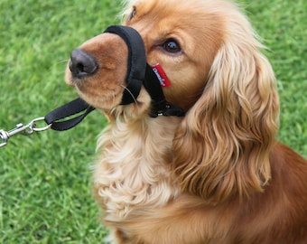 Hundehalfter & Trainingshalsband | Hundeverhaltenstrainings-Tool | Hör auf an der Leine zu ziehen | Einfach zu bedienen, gepolstertes Nasenband, verstellbarer Riemen