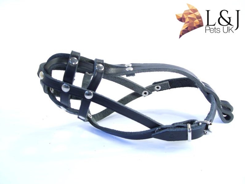 Light leather Dog Muzzle for Chihuahua Yorkshire Terrier Mini Etsy