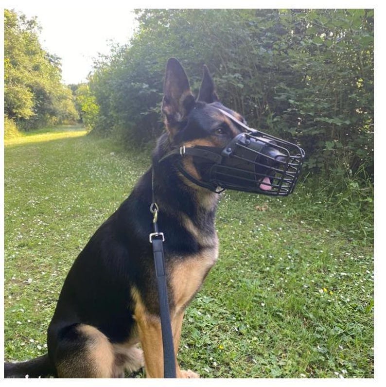 German Shepherd, Doberman and similar | Strong metal and Leather | K9 Police Style Muzzle | Training and Dog Behaviour | Working Dog Muzzle