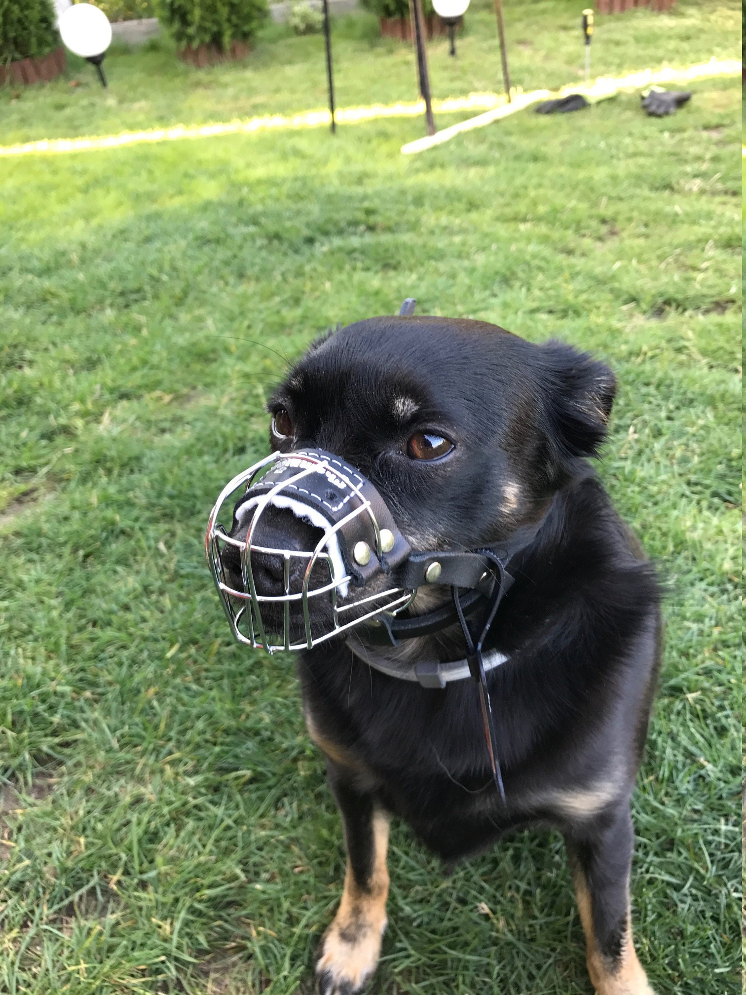 Neue Metall STRONG Draht Korb Hund Maulkorb für Rattler Etsy
