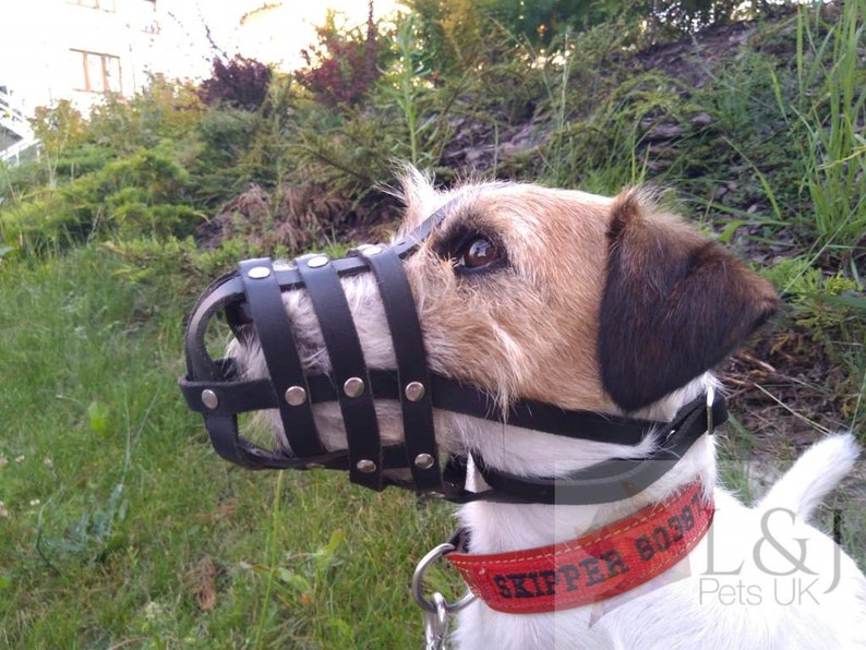 Leather Dog Muzzle for Jack Russell and Other Similar Dogs Etsy UK