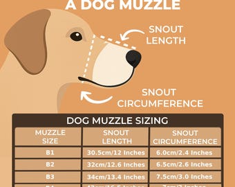 How to Measure Dog Muzzle Size: Easy Steps for Perfect Fit