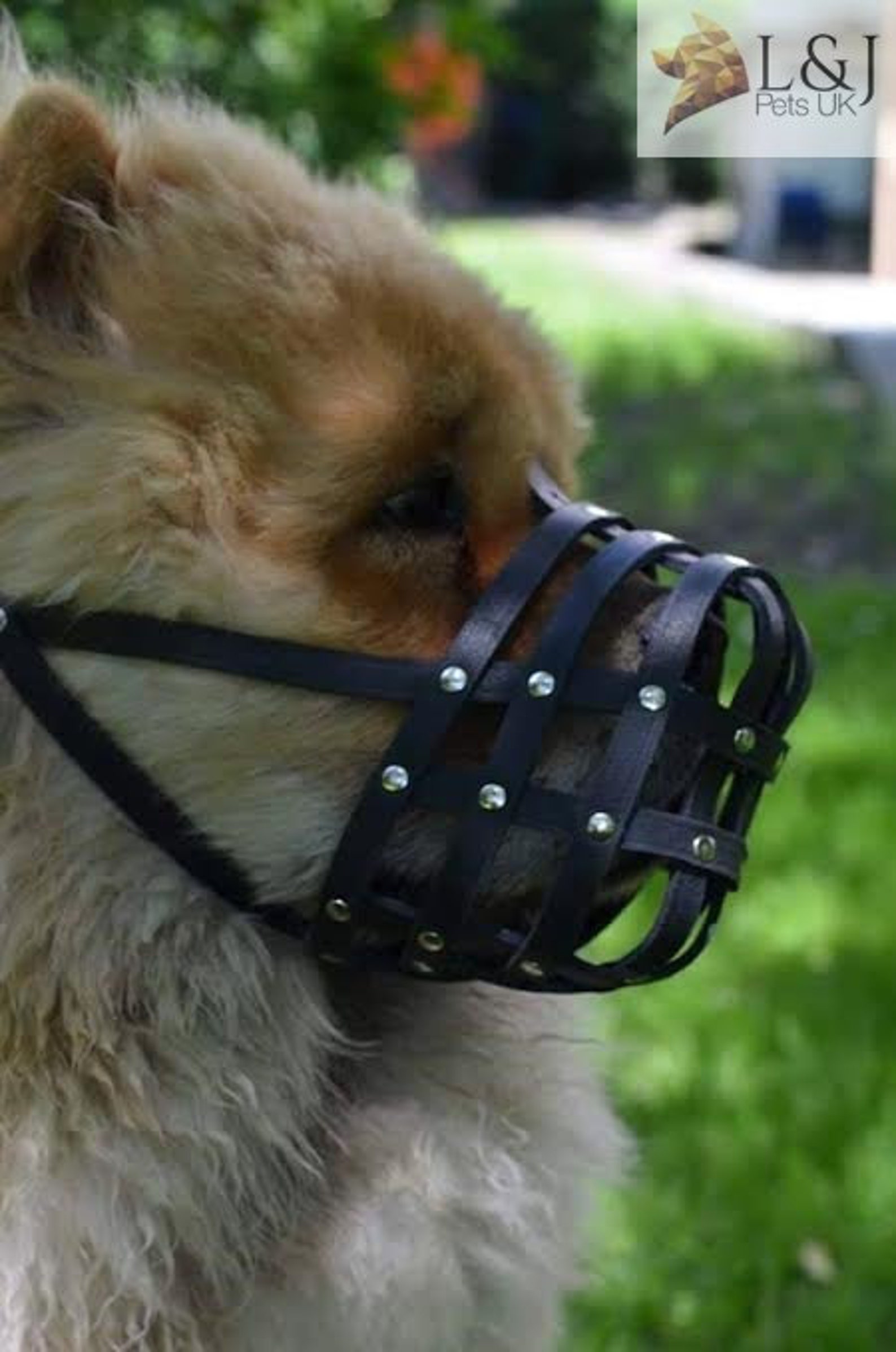 Leather Dog Muzzle Chow Chow & Other Similar Snouts Etsy UK