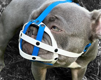 muzzle training bumas dog muzzle
