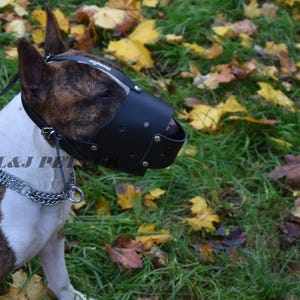 Strong Real Leather Dog Muzzle Bull Terrier and Other similar snout