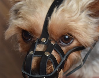 Light leather Dog Muzzle for Chihuahua Yorkshire Terrier Mini Pitcher & Other