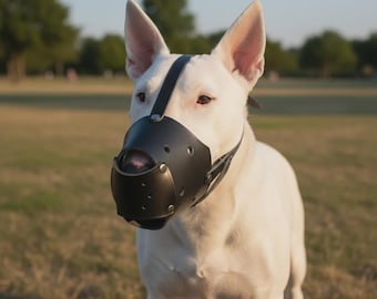 May include: A white Bull Terrier dog wearing a black leather muzzle. The muzzle features a structured nose guard with ventilation holes, secured by a strap that runs over the bridge of the nose and connects to a collar strap around the neck.