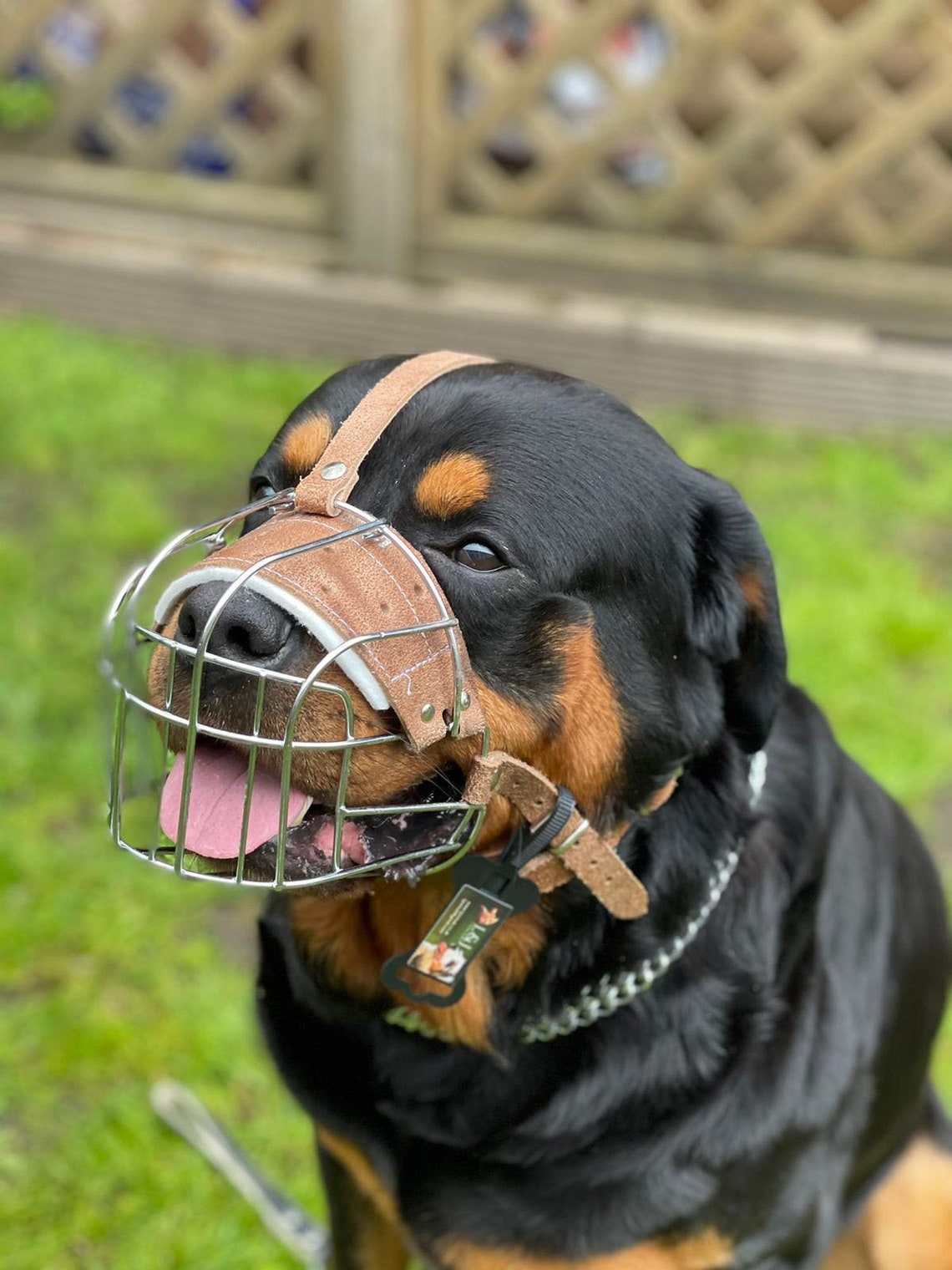 metal wire basket puppy muzzle metal wire basket puppy muzzle