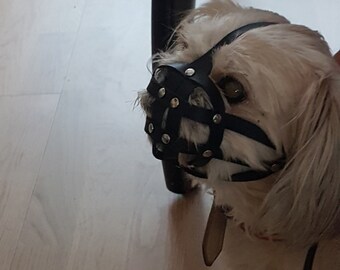 Muzzles for pugs deals