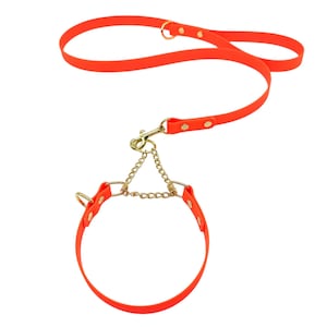 Collare per cani in Biothane impermeabile, fibbia in metallo, rivetti neri, ultra resistente