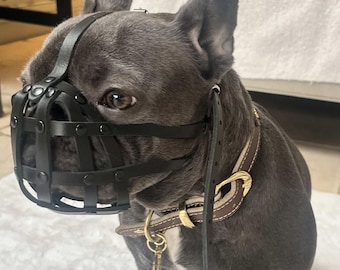 Bozal de cuero ligero para Bulldog Francés "Frenchies"