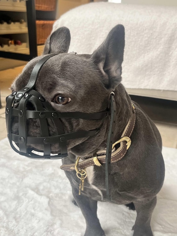French Bulldog Umbrella - Sarah French Bulldog Umbrella - Sarah