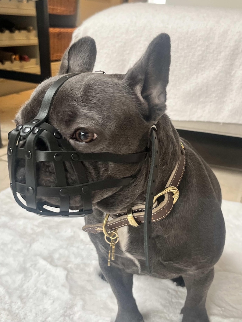 Light leather Dog Muzzle for French Bulldog "Frenchies" Black