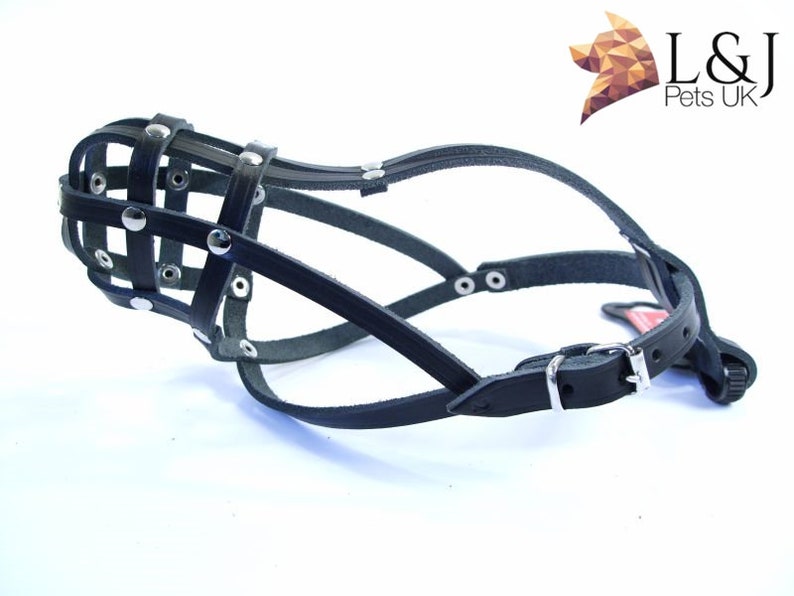 Light Leather Dog Muzzle for Chihuahua Yorkshire Terrier Mini Etsy