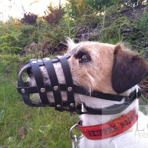 Leather Dog Muzzle for Jack Russell and other similar dogs