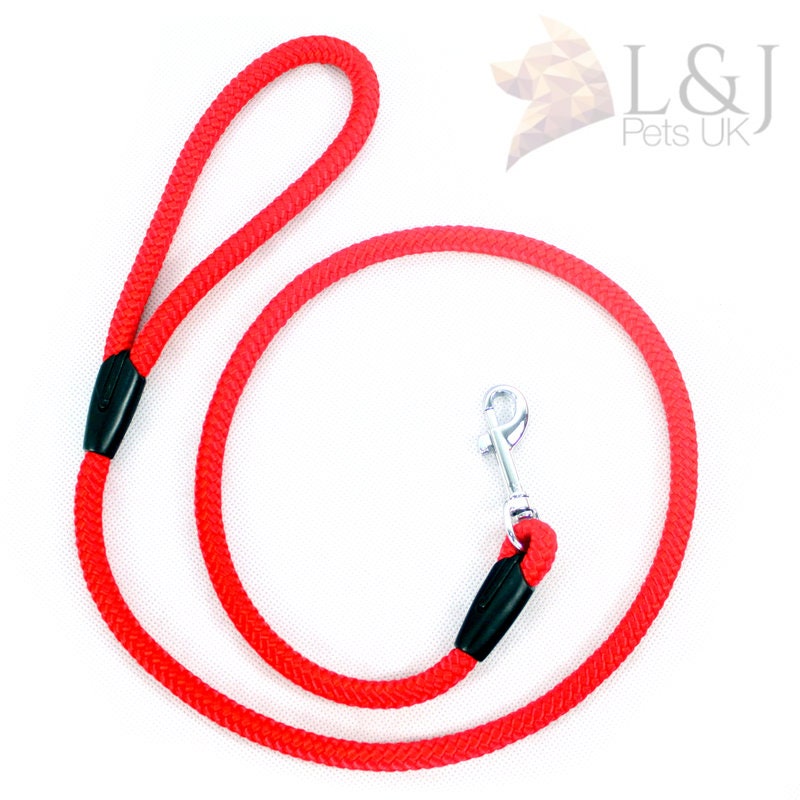 Strong DOG Leash EXTRA LONG 2 3 5 7 10 M Training Rope Etsy UK
