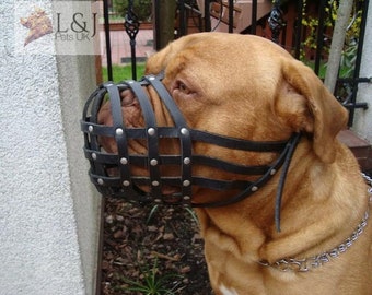 Leather Dog Muzzle | Dogue de Bordeaux and Bullmastiff |