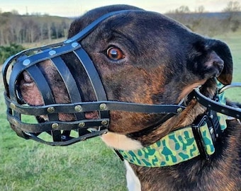 Light Real leather Dog Muzzle for Staffordshire Bull Terrier Staffy , Staffie
