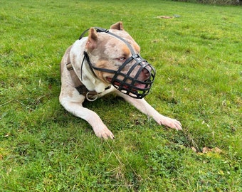 Biothane Dog Muzzle | Training & Behaviour | Strong, Waterproof Design | XL American Bully, XL Bully | Handmade, Durable