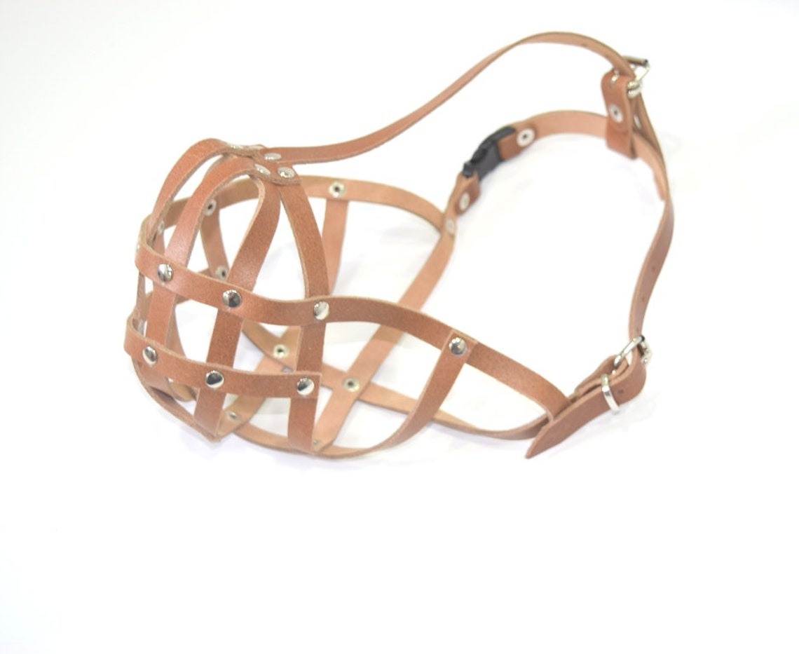 Leather Dog Muzzle Chow Chow & Other Similar Snouts Etsy UK