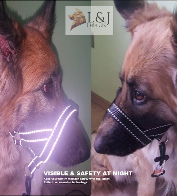 padded dog head collar