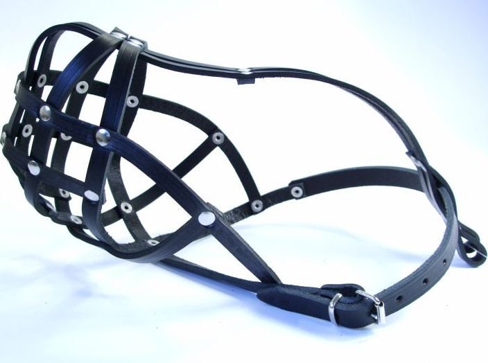 Leather Dog Muzzle Chow Chow & Other Similar Snouts Etsy UK