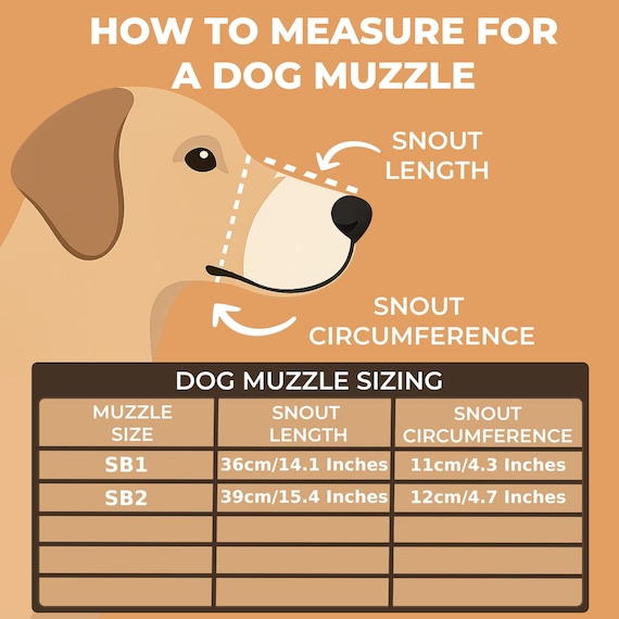 How to Measure a Dog for a Muzzle: Easy Steps for Perfect Fit