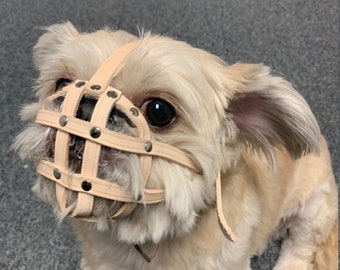 Muzzle for shih tzu pets at home 2025