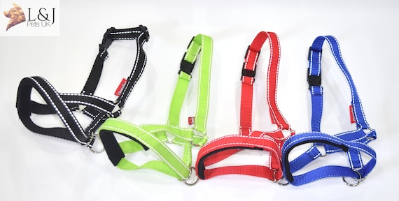 Collare Anti-tiro Per Cani Con Cinturino Di Sicurezza - Cavezza Comoda Per Passeggiate Senza Strattoni - Foto 5