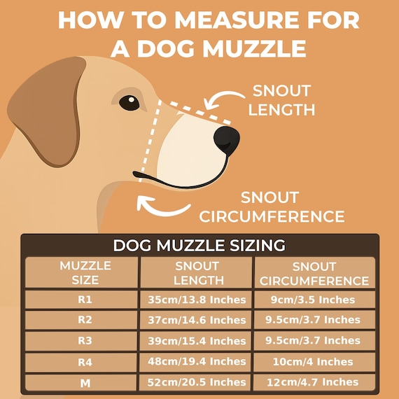 How to Measure for a Muzzle for a Dog: Easy Steps for Perfect Fit