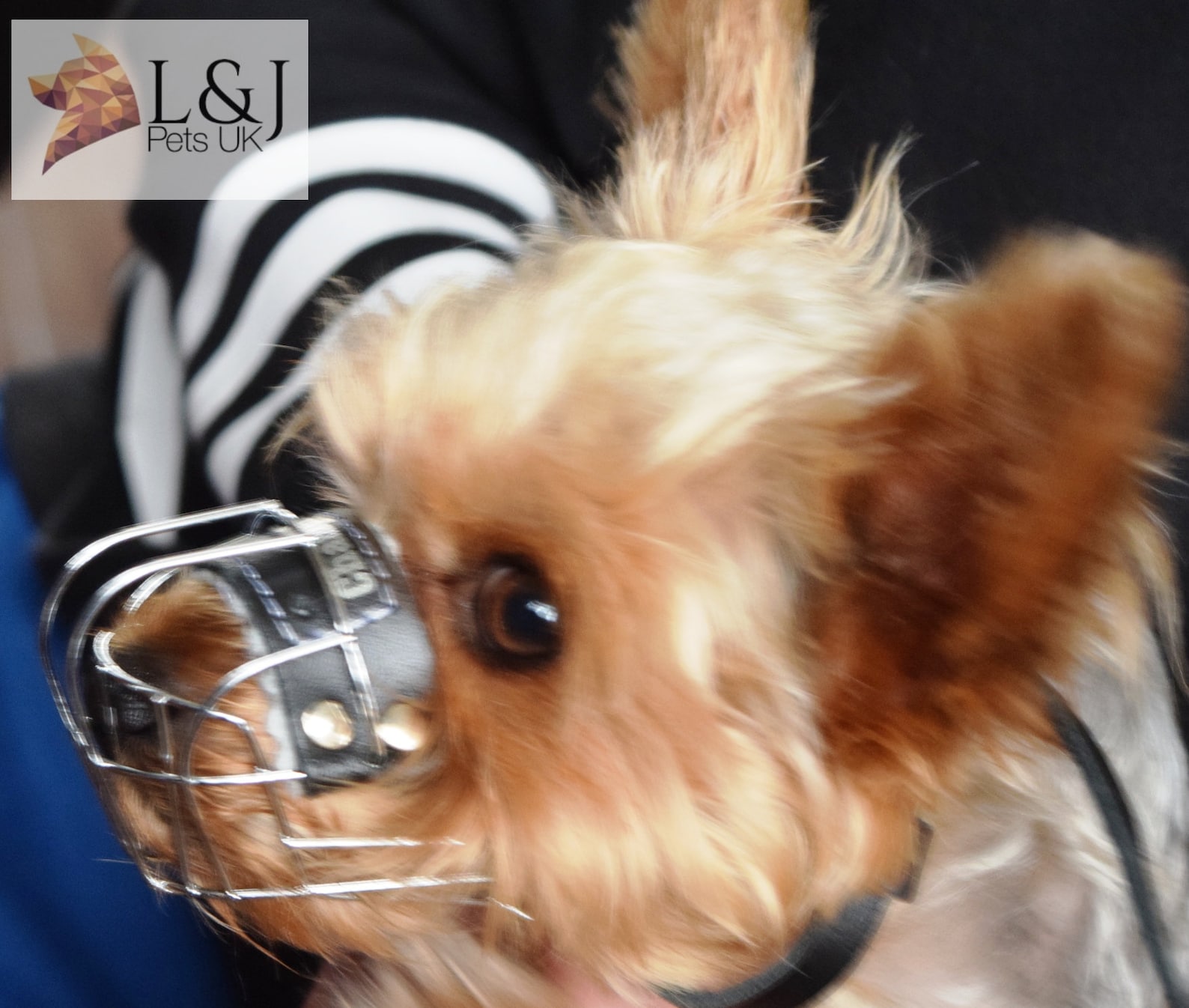 New Metal STRONG Wire Basket Dog Muzzle for Rattler Yorkshire Etsy