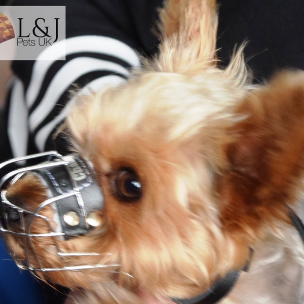 New Metal STRONG Wire Basket Dog Muzzle for Rattler Yorkshire Terrier & other