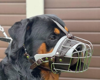 Bozal de entrenamiento para Rottweiler y Mastín K9 / Metal resistente y cuero cómodo / Entrenamiento de comportamiento canino / Estilo policía K9 / Bozal para perros de trabajo