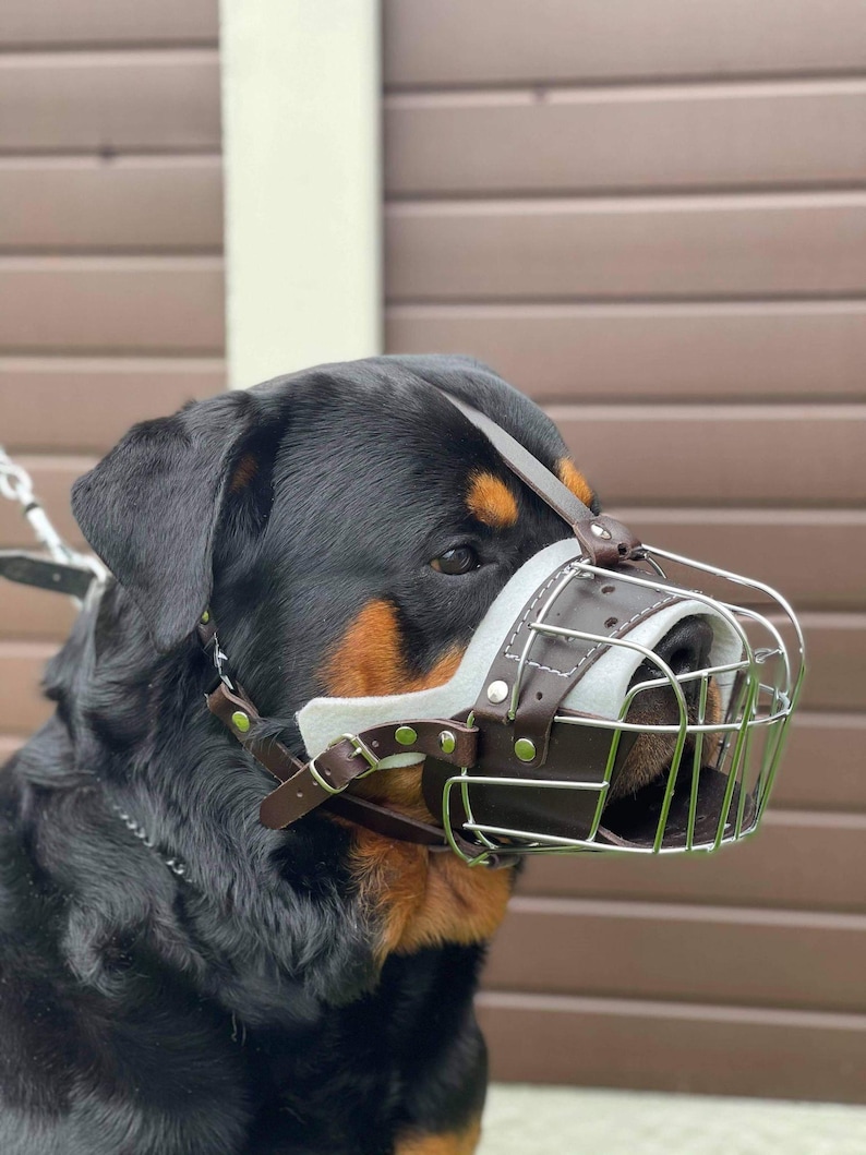Rottweiler, Mastiff K9 Training Muzzle | Strong Metal and Comfotable Leather | Dog behaviour training | K9 Police Style | Working Dog Muzzle