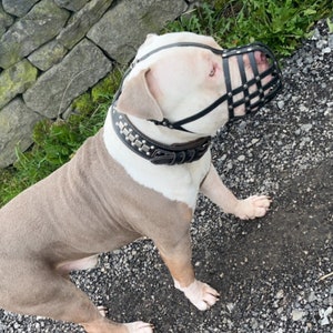 Leather Dog Muzzle for American Bully , Bully XL and other similar snout