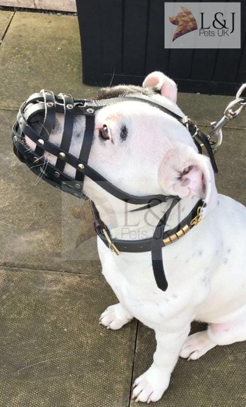 スタッフィー様確認用 スタッフィー様確認用 スタッフィー様確認用