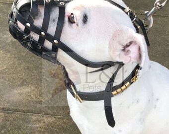 Dog muzzle for staffy hot sale
