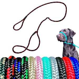 Anti-Pull-Blei Abbildung 8 Kopfkragen Einheitsgröße Super weiches geflochtenes Nylon bequem machen Ihre Spaziergänge angenehm Anleitung enthalten