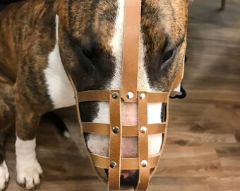 Strong Leather Dog Muzzle | English Bull Terrier and other similar snouts | Natural Leather, Metal Rivets, Quick Release Buckle, Adjustable