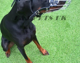 May include: A black Doberman Pinscher wearing a black leather dog muzzle with a wire cage. The dog is sitting on green artificial grass. L&J Pets UK is printed in the top right corner of the image.