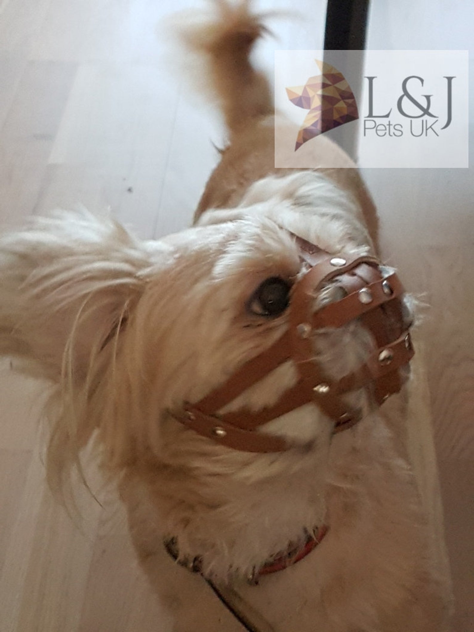 Leather Dog Muzzle for Shih Tzu and Other Flat Face Faced Etsy