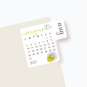 May include: A white calendar with a black and white daisy illustration. The calendar is for August 2025 and has the days of the week labeled S, M, T, W, T, F, S. The word "August" is written in green and yellow cursive.