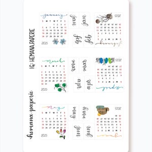 May include: A set of 12 monthly calendar stickers for 2025. Each sticker features a different month of the year with a handwritten month name and a colorful illustration. The stickers are designed for use in planners, journals, and other paper goods.