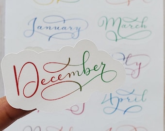 Pegatinas para planificador de meses del año: pegatinas coloridas para diario