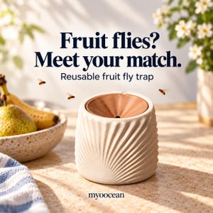 Reusable Fruit Fly Trap for Kitchen, Decorative Countertop Fly Catcher